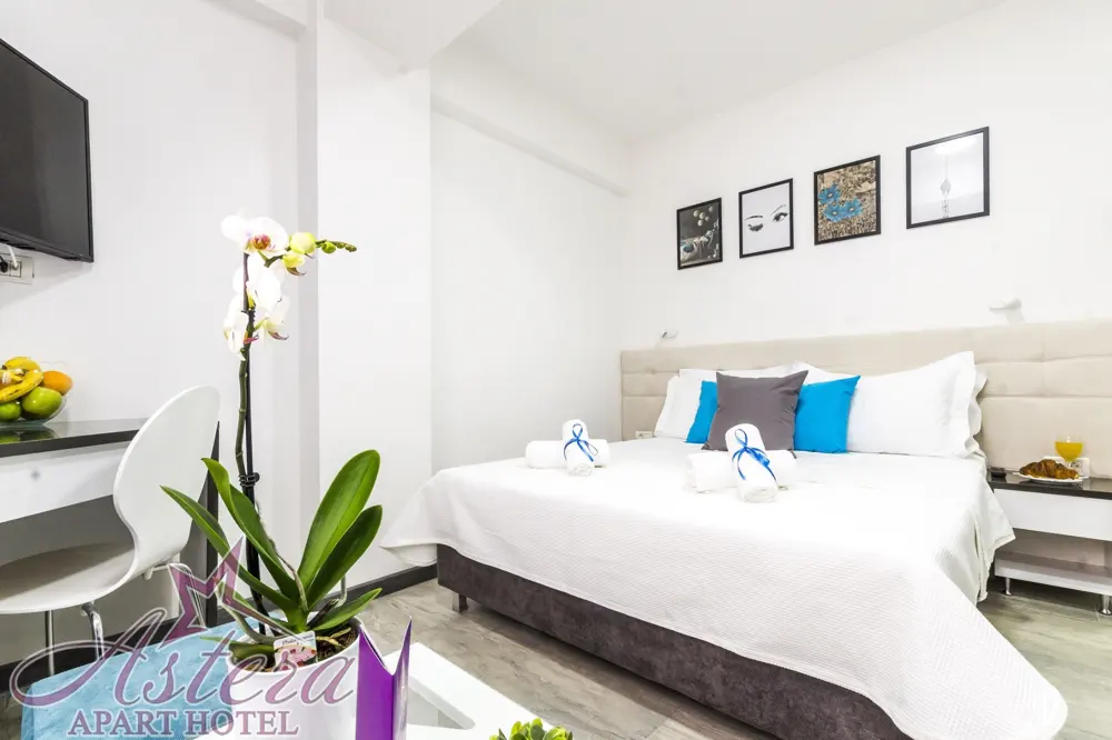 Studio Apartment (city view) – 25 m² studio for 2, Double bed · Astera Apart Hotel Skopje